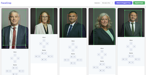 Step 2: Adjust the crops